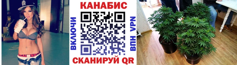 Купить наркотики Иннополис Марихуана Alpha PVP Гашиш Вейп ТГК COCAIN Меф мяу мяу