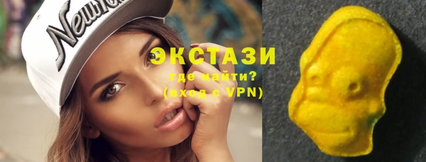 гашик Гусев