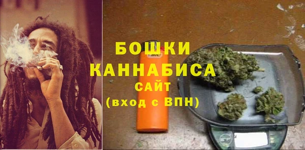 спайс Гусь-Хрустальный