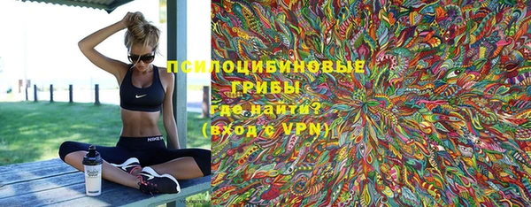 твердый Алзамай