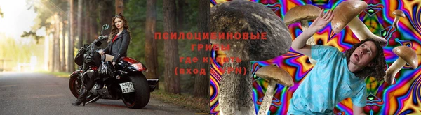 синтетический гашиш Алексин