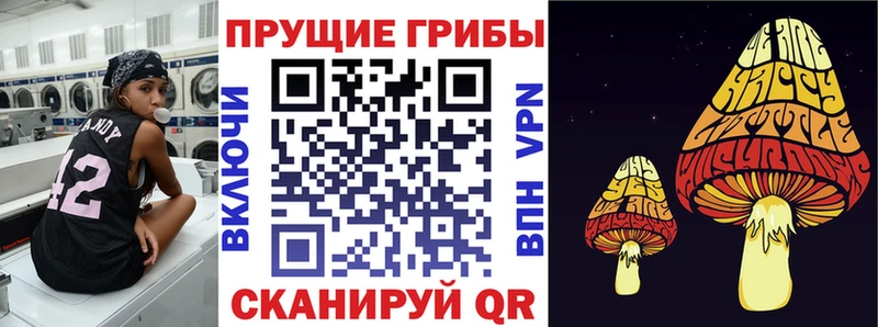 Псилоцибиновые грибы GOLDEN TEACHER  Иннополис 
